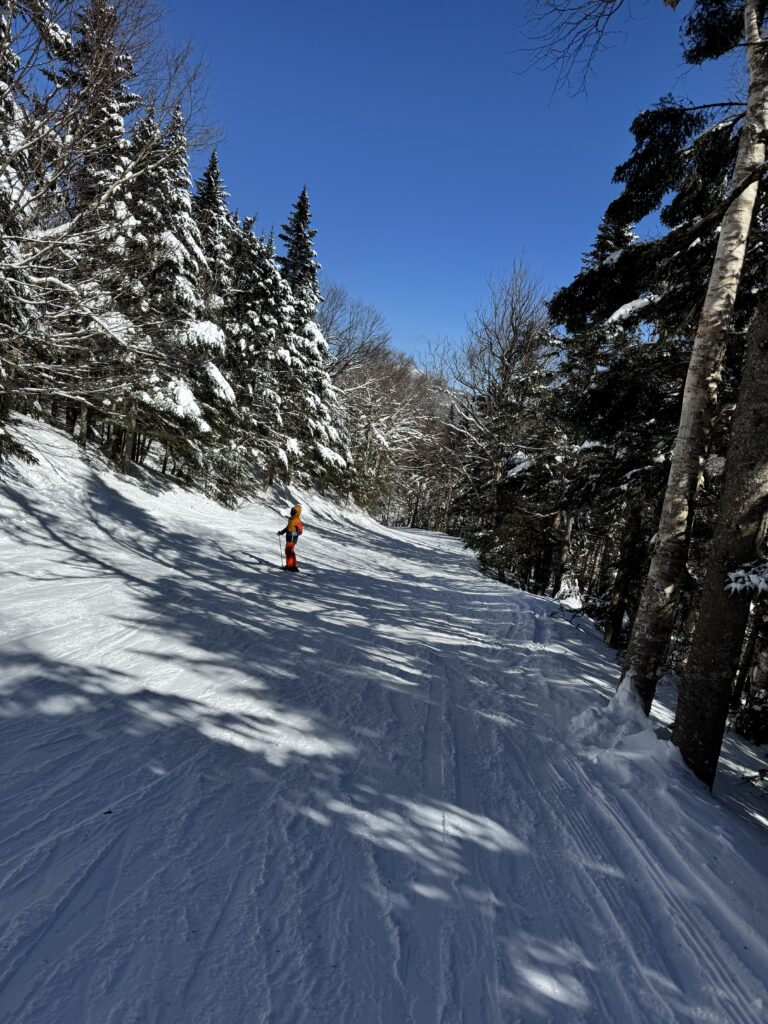 image of skier amonst snow covered trees