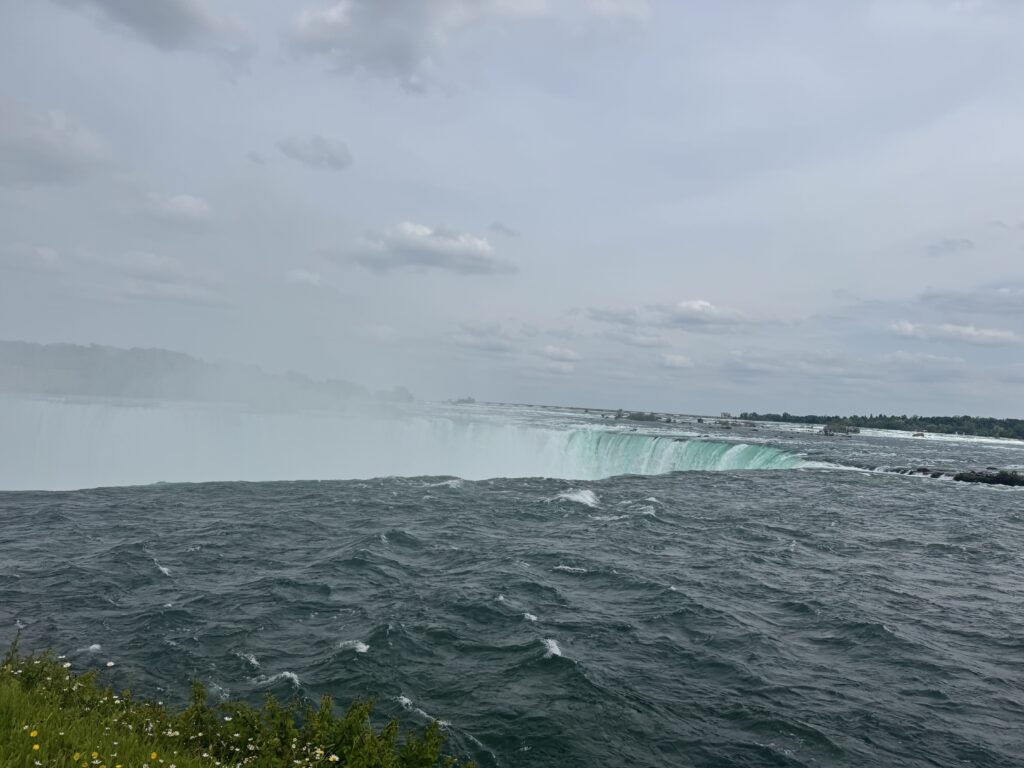 Horseshoe-shaped waterfall with turquoise water plunging over the crest into rising mist, turbulent dark-green river in the foreground, cloudy sky above and a small grassy shoreline with wildflowers at the bottom left.