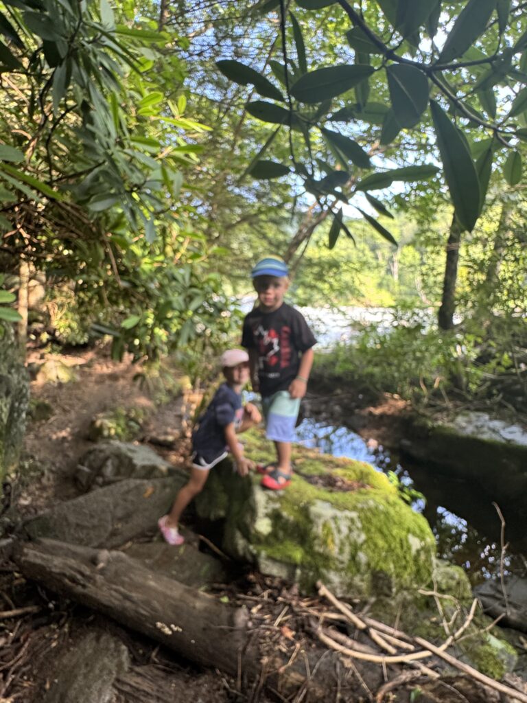hike to cucumber falls ohiopyle state park