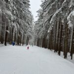 A child in a bright pink jacket skis down a wide snow-covered trail through a dense, tunnel-like evergreen forest with branches laden with fresh snow and a few distant skiers ahead.