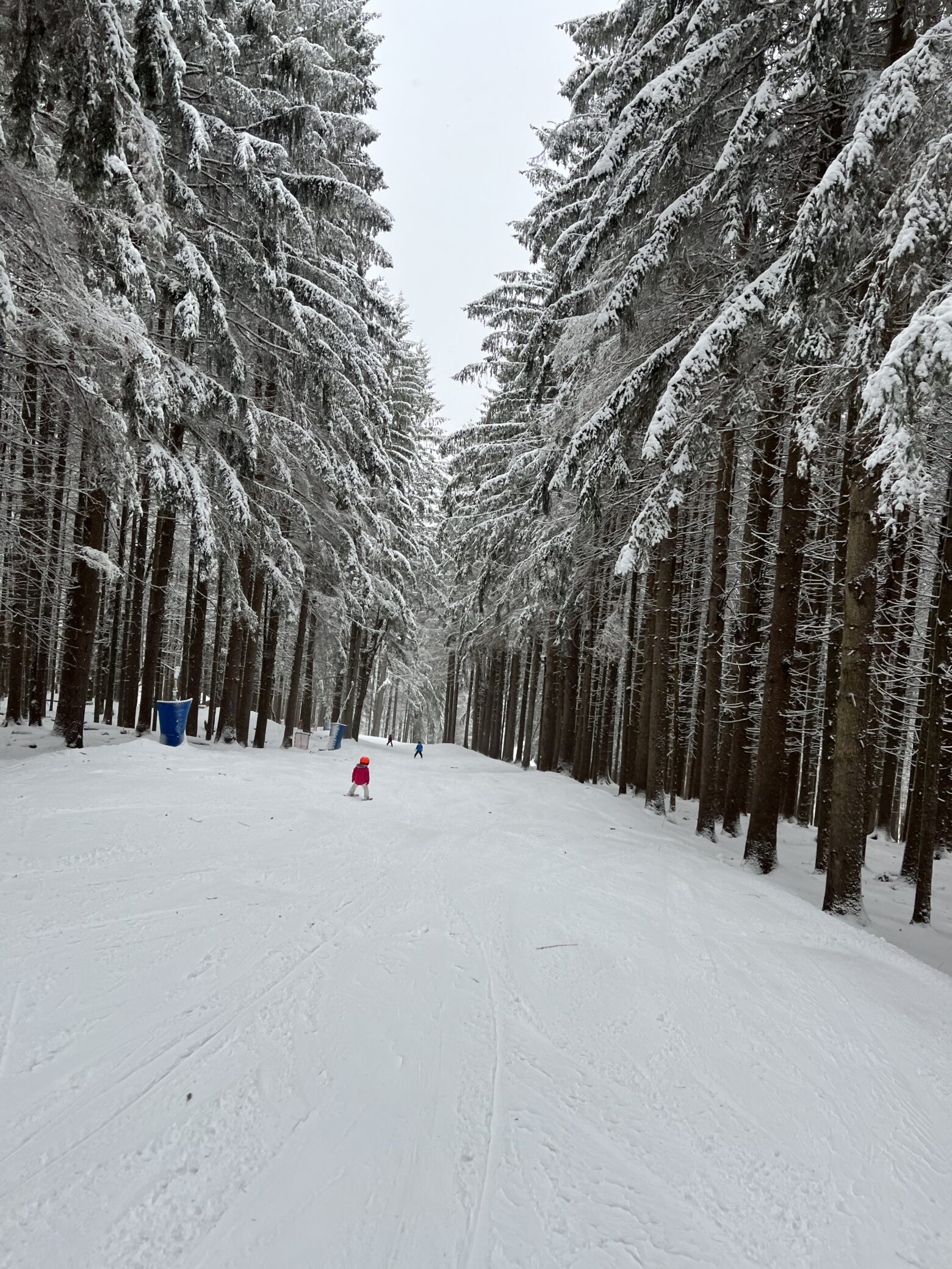 A child in a bright pink jacket skis down a wide snow-covered trail through a dense, tunnel-like evergreen forest with branches laden with fresh snow and a few distant skiers ahead.