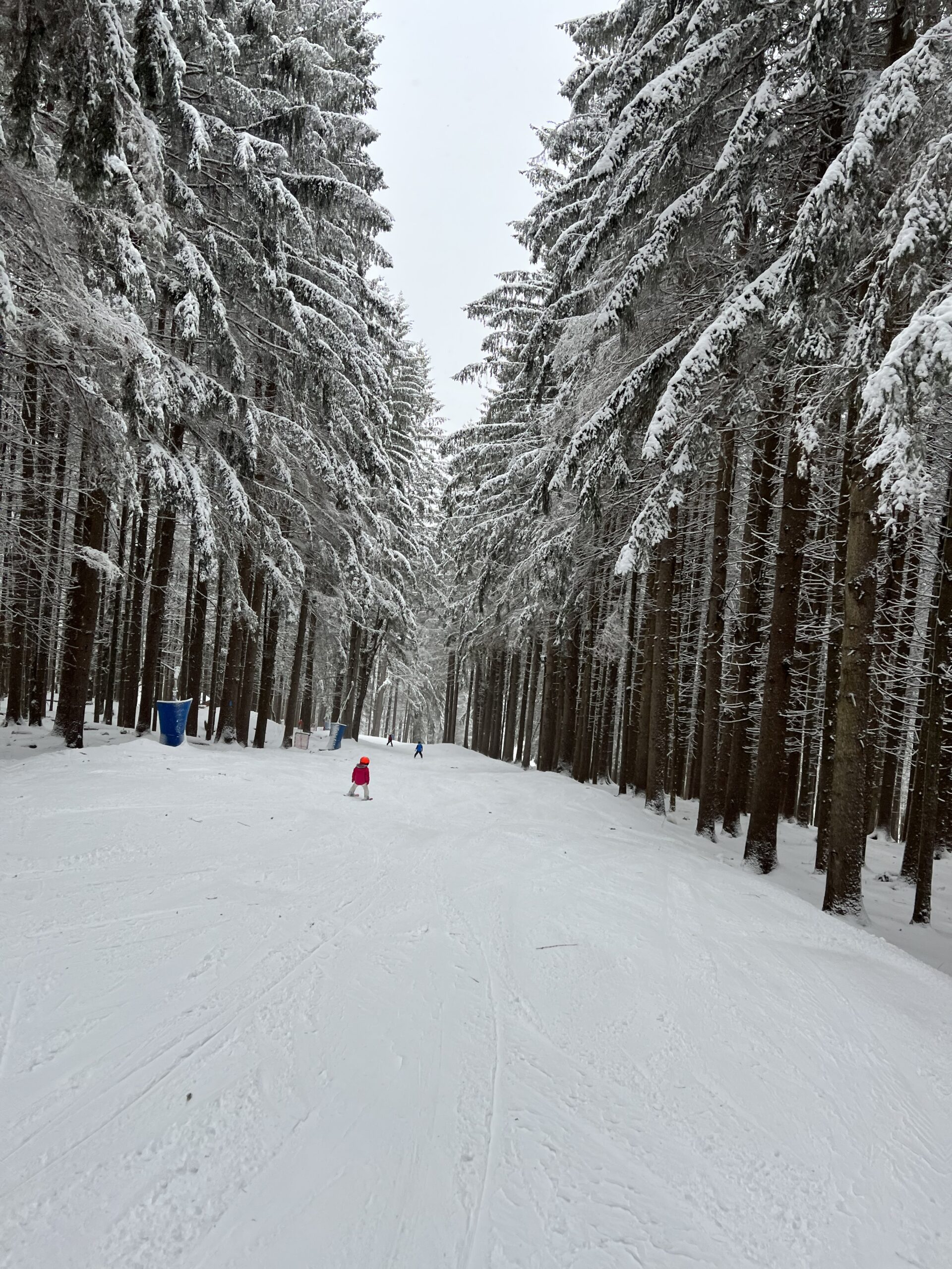 A child in a bright pink jacket skis down a wide snow-covered trail through a dense, tunnel-like evergreen forest with branches laden with fresh snow and a few distant skiers ahead.