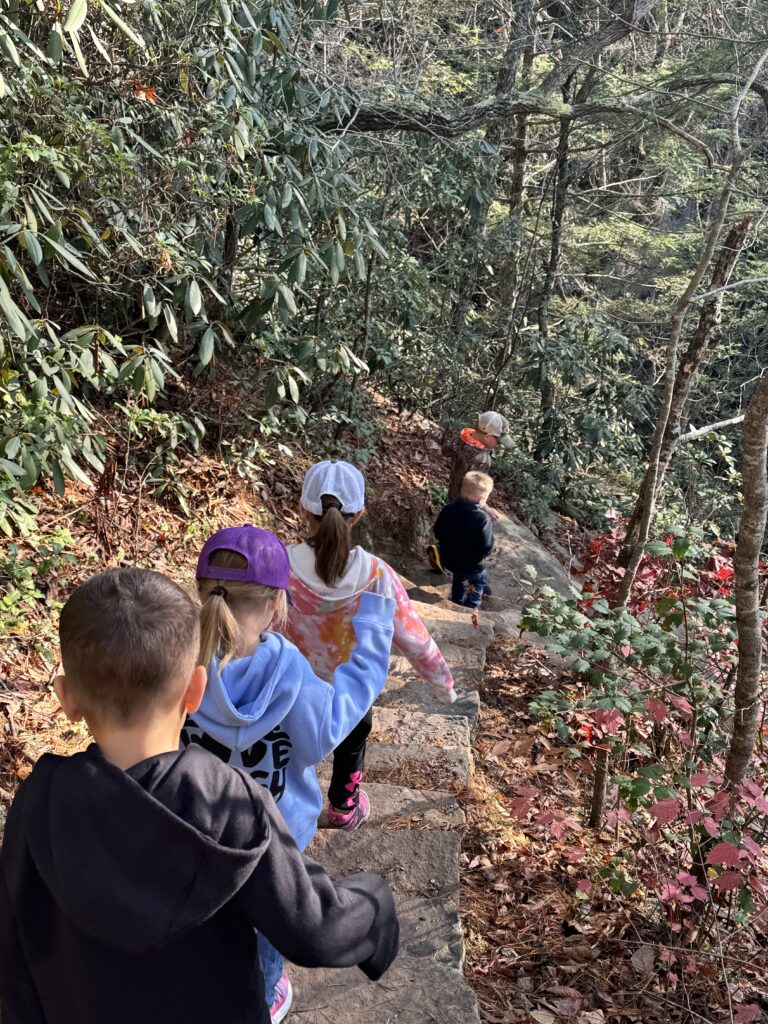 Five children descend stone steps on a shaded forest trail, wearing caps and colorful hoodies amid rhododendron and autumn leaves.