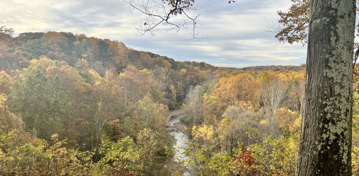 color fall leaves with river flowing