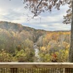 color fall leaves with river flowing