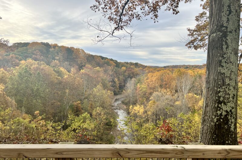 color fall leaves with river flowing