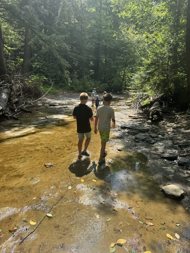 Two boys walking through a shallow sunlit forest stream with several other children further ahead, surrounded by tall trees, exposed roots and dappled light on the rocky, leaf-strewn streambed.