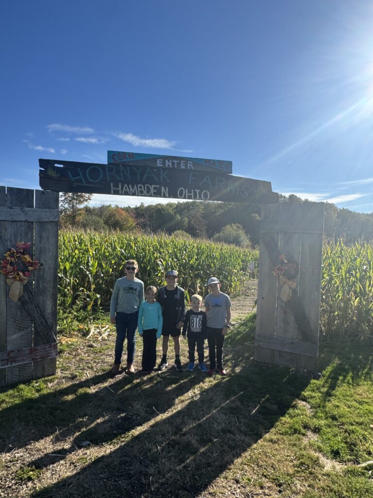 cornmaze with hornyak farms sign
