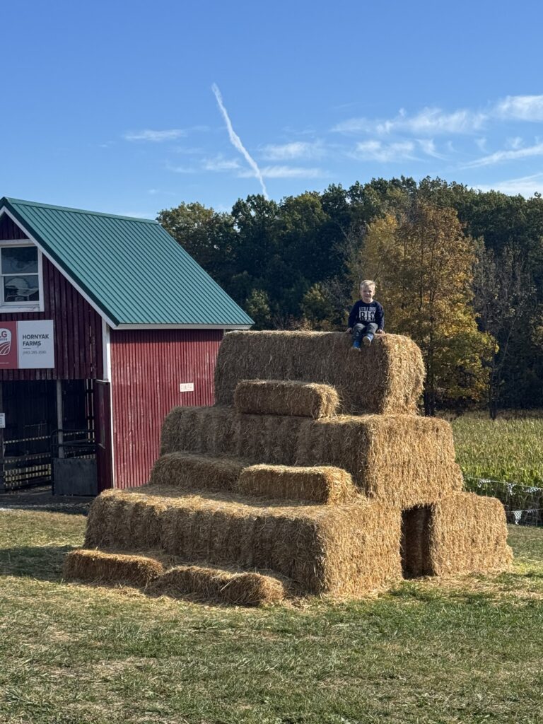 boy on haystack