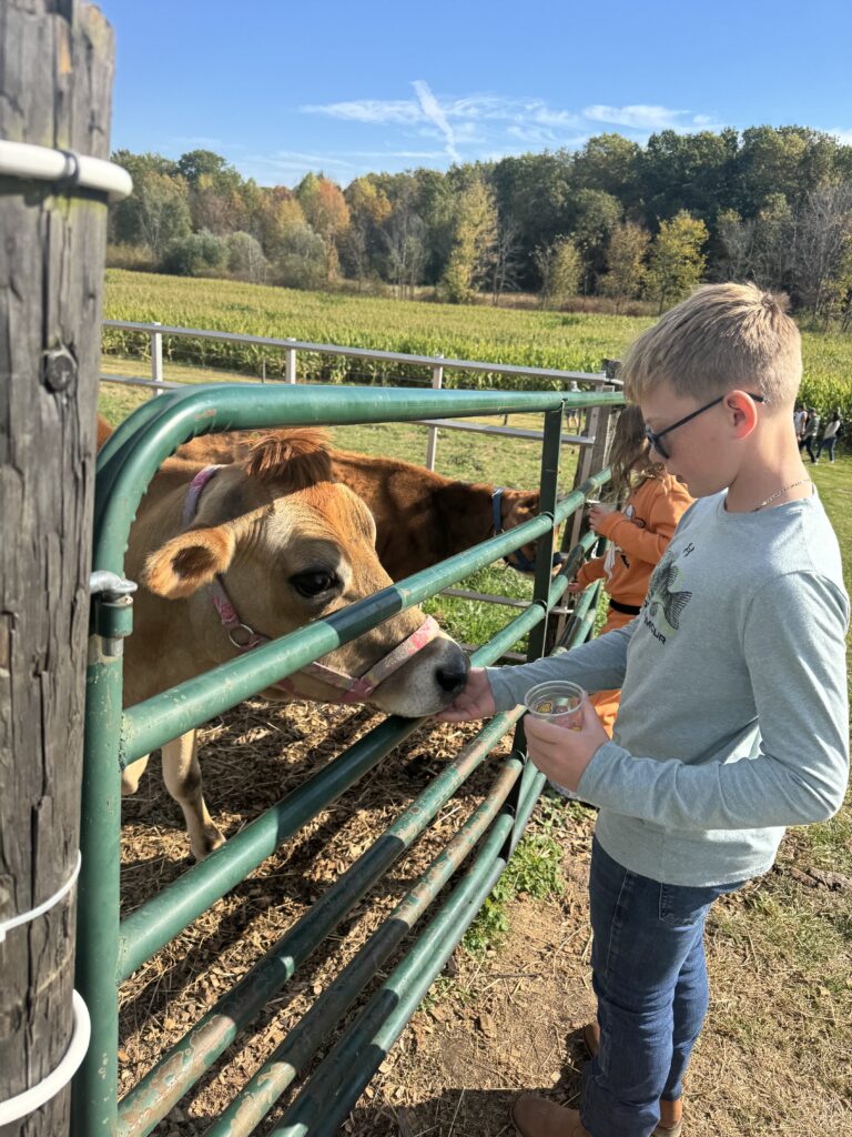 boy feeding cow at hornyak farms