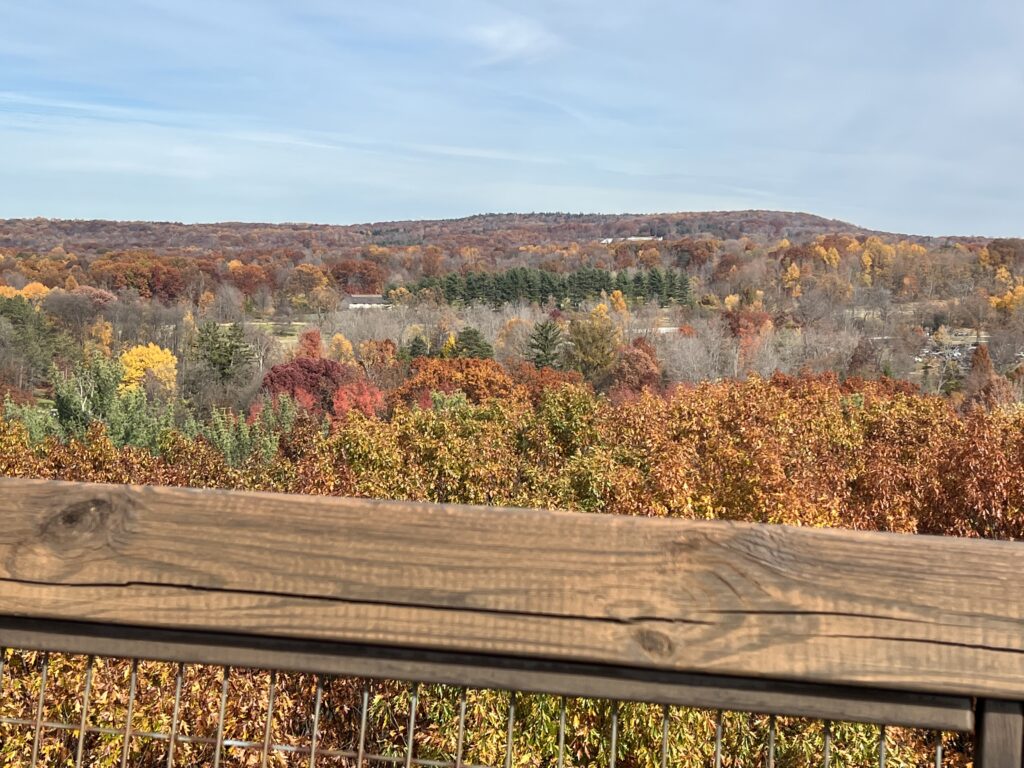 Wooden deck railing in the foreground overlooking a broad autumn landscape of red, orange, yellow, and green trees stretching across rolling hills under a pale blue sky.