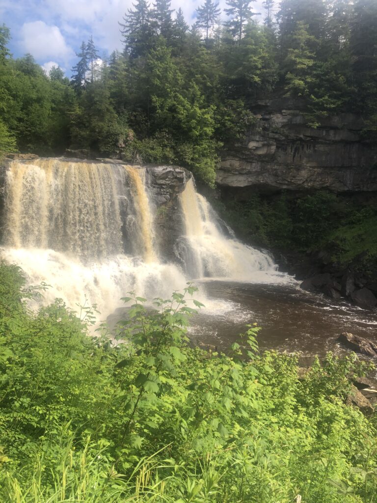 view of blackwater falls from observation deck