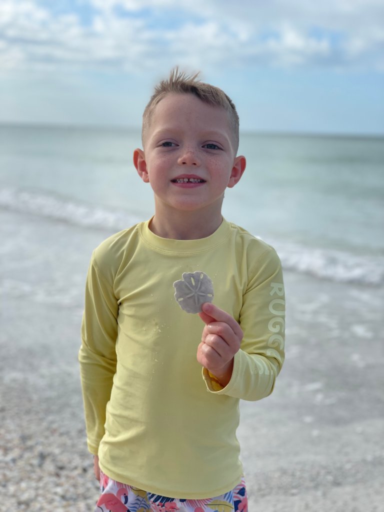 Children collecting seashells on Anna Maria Island Florida beach