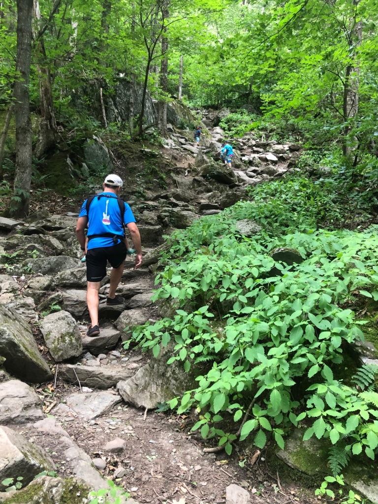 pinnacle trail stowe vermont during summer 