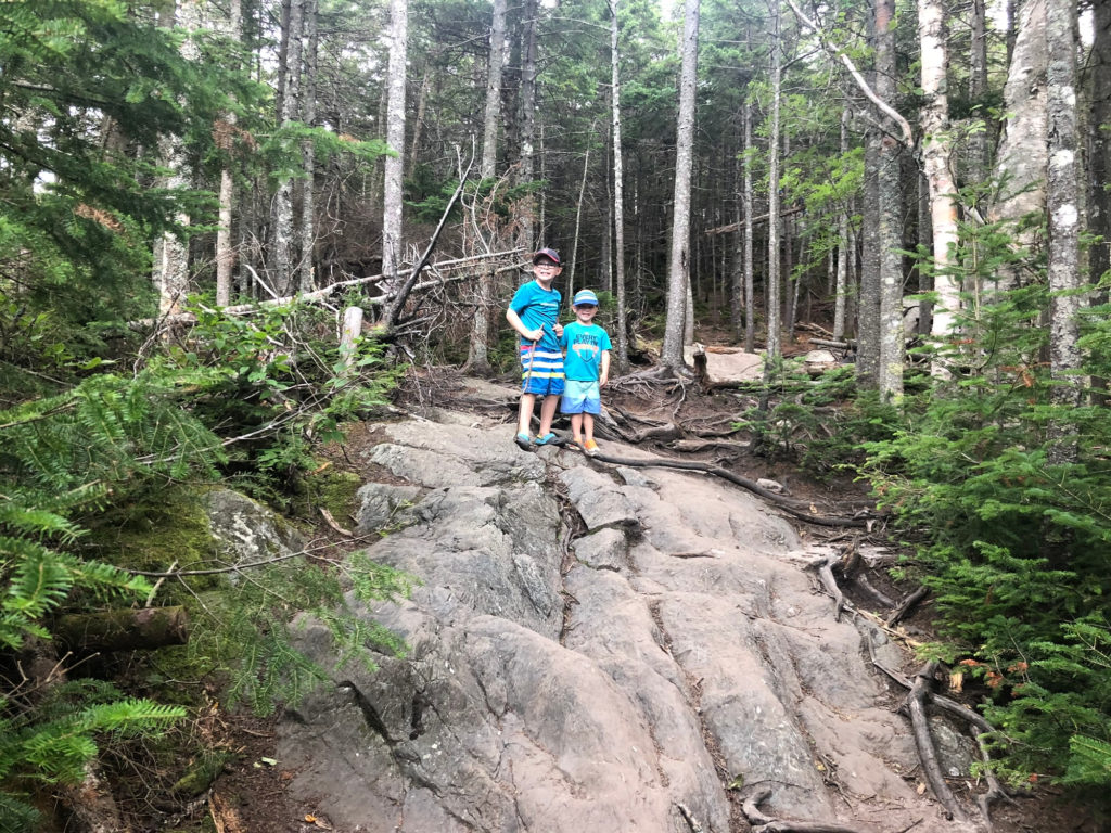 kids climbing stowe pinnacle trail in stowe vermont during summer 